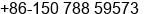 Mobile number of Ms. Tracy Lee at Nanning