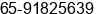 Phone number of Mr. Saravanabava Natesan at SINGAPORE 