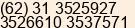 Phone number of Ms. Lili at Surabaya